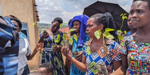 Maternal and Child Nutrition Program